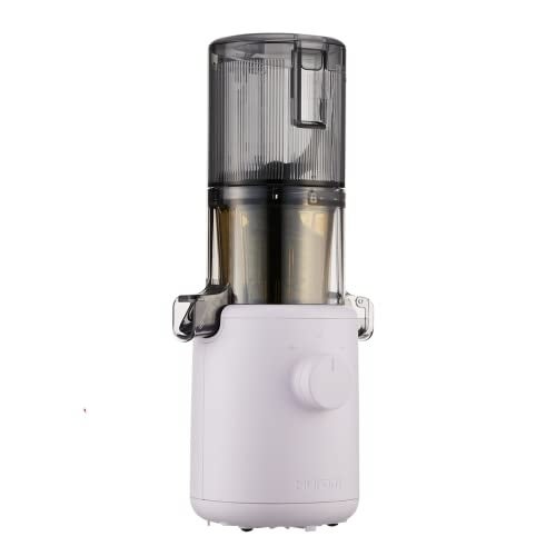 Hurom H310A Cold Press Juicer